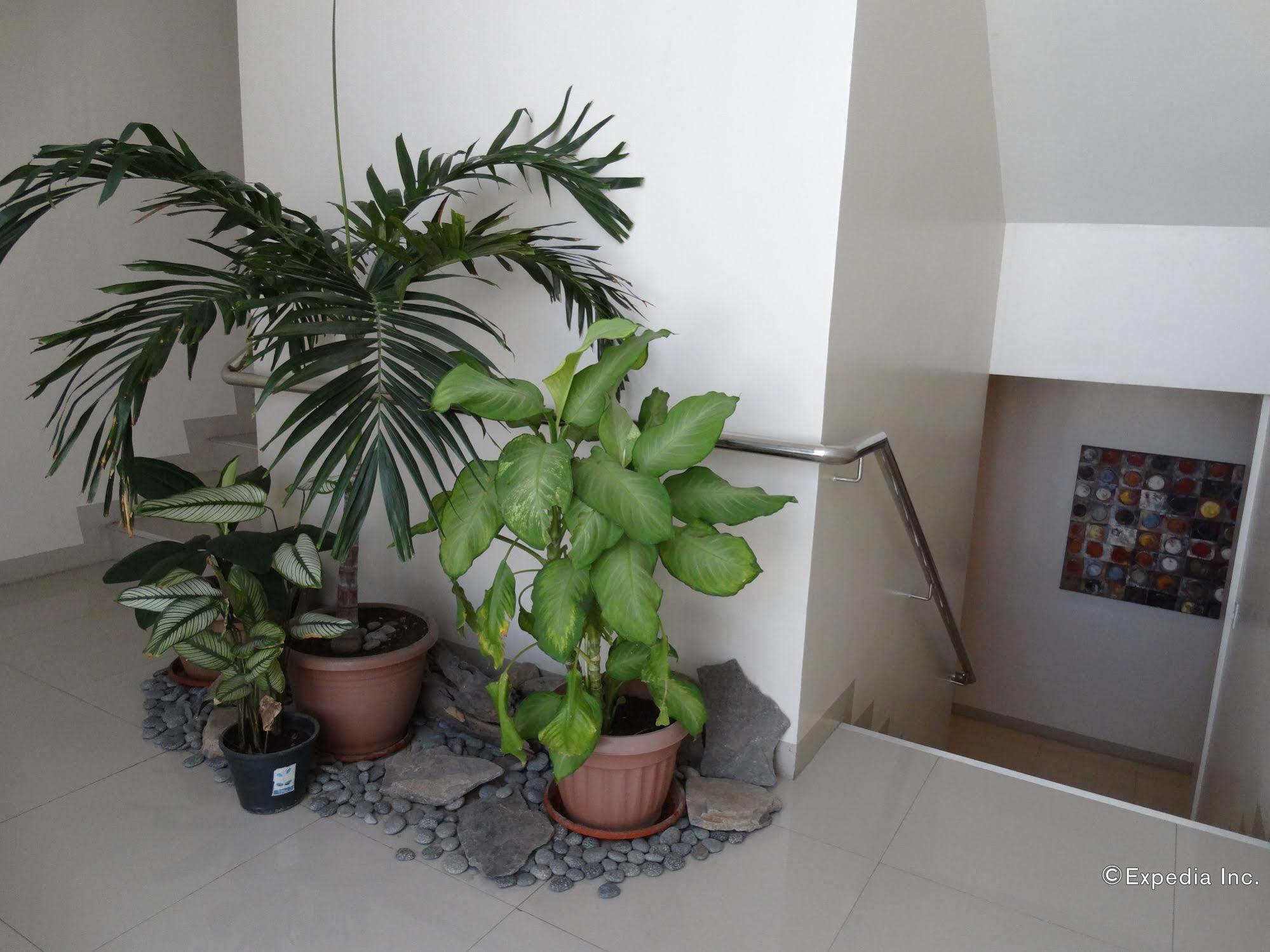 Infinity Suites Davao City Eksteriør bilde